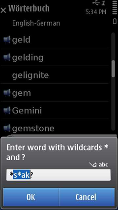 Enge_wildcard_search_basic_en